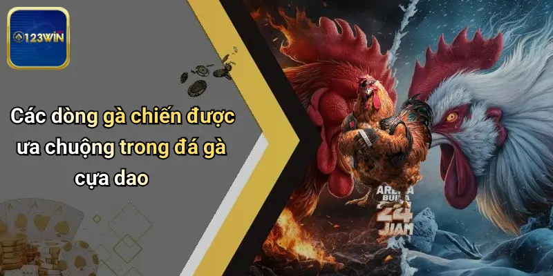 Đá Gà Cựa Dao: Kỹ Năng, Sân Chơi Đỉnh Cao Và Cơ Hội Cùng 123WIN 2 Các dòng gà chiến được ưa chuộng trong đá gà cựa dao