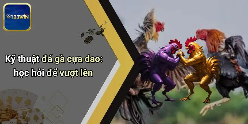 Đá Gà Cựa Dao: Kỹ Năng, Sân Chơi Đỉnh Cao Và Cơ Hội Cùng 123WIN 3 Kỹ thuật đá gà cựa dao: học hỏi để vượt lên