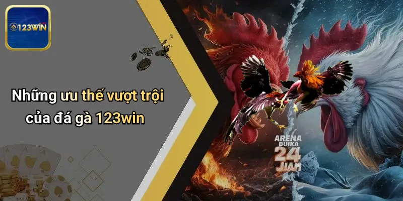 Những ưu thế vượt trội của đá gà 123win