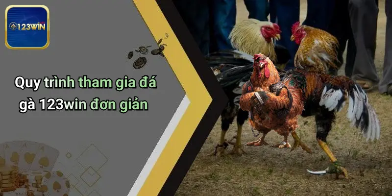 Quy trình tham gia đá gà 123win đơn giản